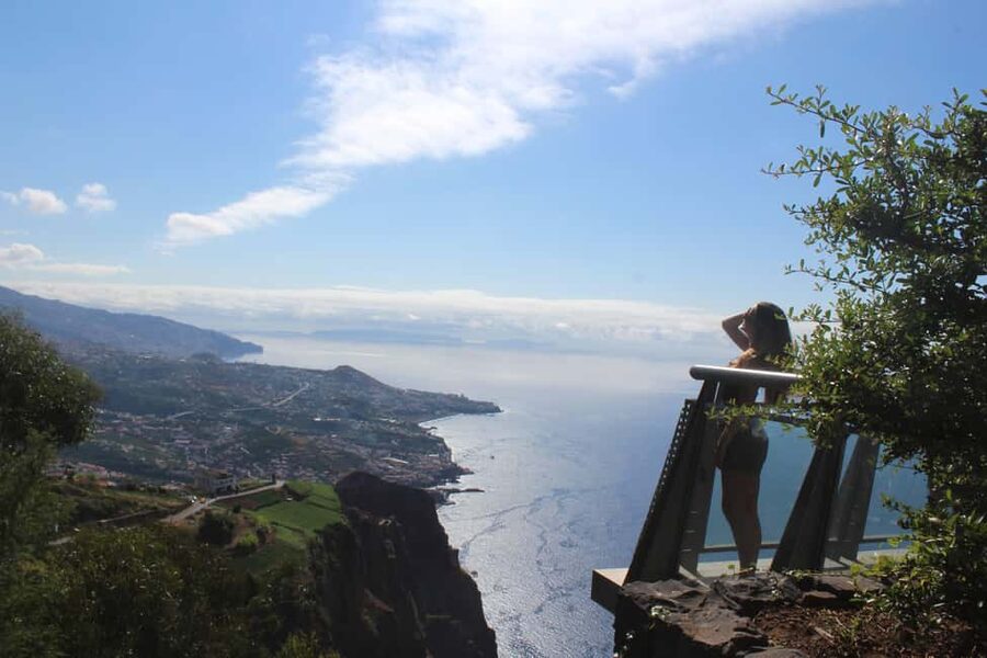 Madeira - Vineyard Tour Wine Tasting - Included - Câmara de Lobos stop: harbour views, monk seals, and painter energy