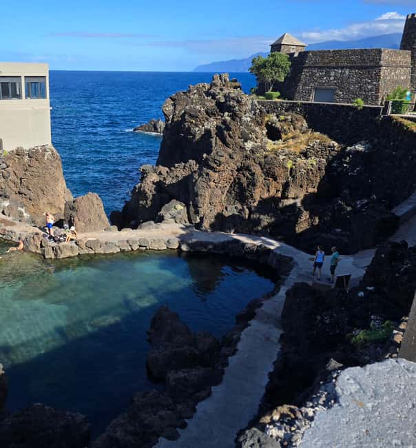 Madeira: Visit the Vulcanic Pools, Waterfalls and the Magic Forest of Fanal - Fanal Forest and the Laurissilva UNESCO World Heritage Experience