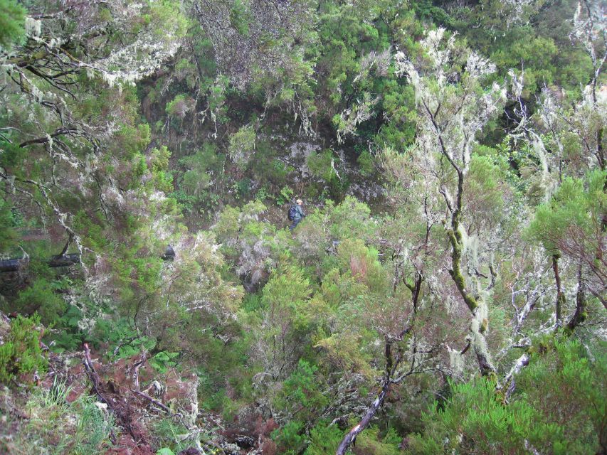 Madeira Walks - Rabaçal and the 25 Fountains - Crowds at the waterfall: how to enjoy it anyway