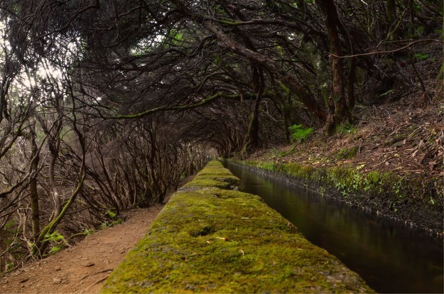 Madeira Walks - Rabaçal and the 25 Fountains - Rabaçal and the 25 Fountains: what you are really signing up for