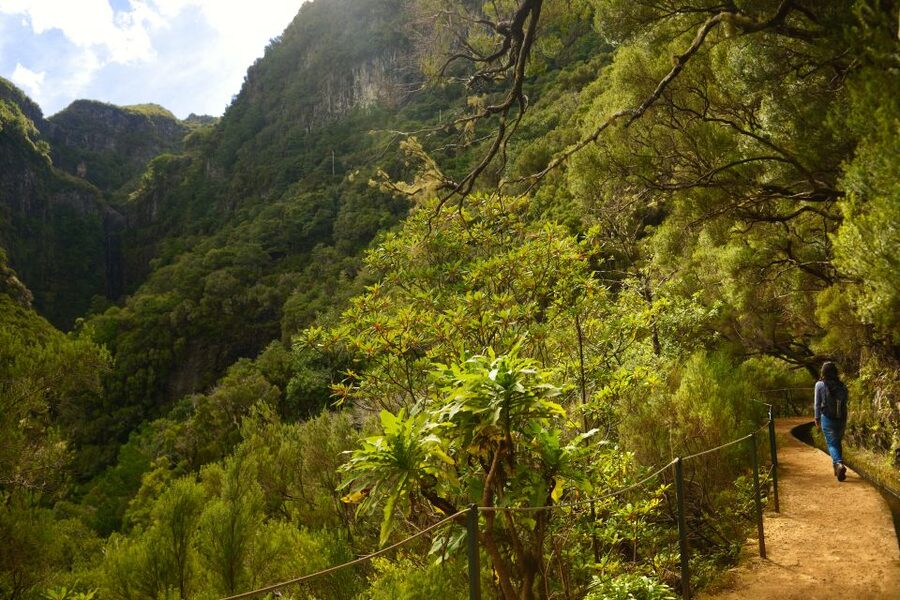Madeira Walks - Rabaçal and the 25 Fountains - The local café breaks: quick rest, not a full meal day