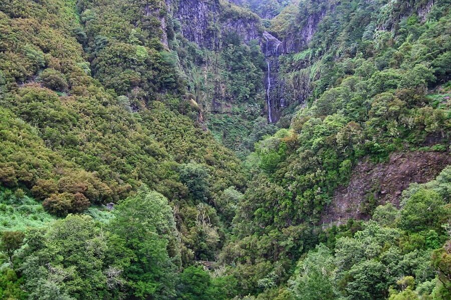 Madeira Walks - Rabaçal and the 25 Fountains - Inside the Rabaçal reserve: waterfalls, springs, and the sound track of the gorge