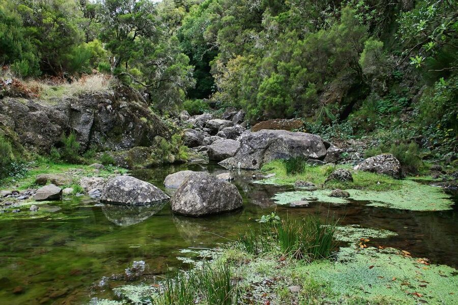 Madeira Walks - Rabaçal and the 25 Fountains - The route itself: steps, possible tunnel time, and smart pacing