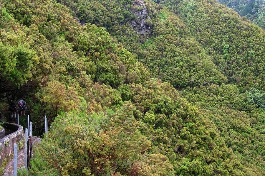 Madeira Walks - Rabaçal and the 25 Fountains - Price and value: is $50 worth it?
