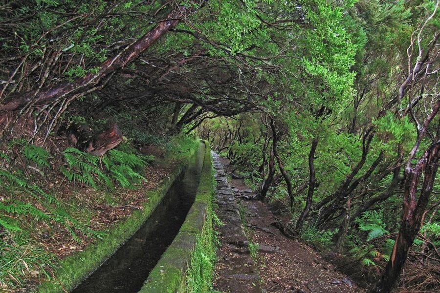 Madeira Walks - Rabaçal and the 25 Fountains - What to pack so the day feels easy, not annoying
