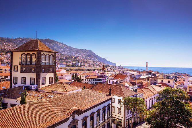 Madeira West Island Full Day Small-Group Tour from Funchal - Camara de Lobos: Fishing Village Color and a 30-Minute Breather