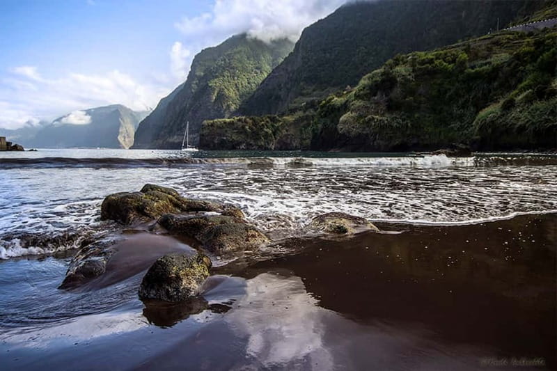 Madeira West Island Full-Day Tour with Fanal Forest - The Laurissilva drive to Paul da Serra and Fanal Forest