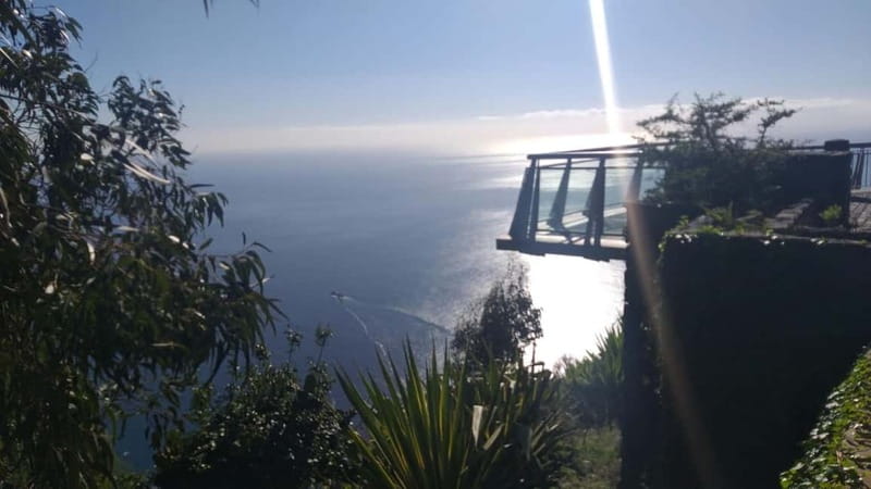 Madeira West Island Full-Day Tour with Fanal Forest - Seixal waterfalls and the coastal return toward Funchal