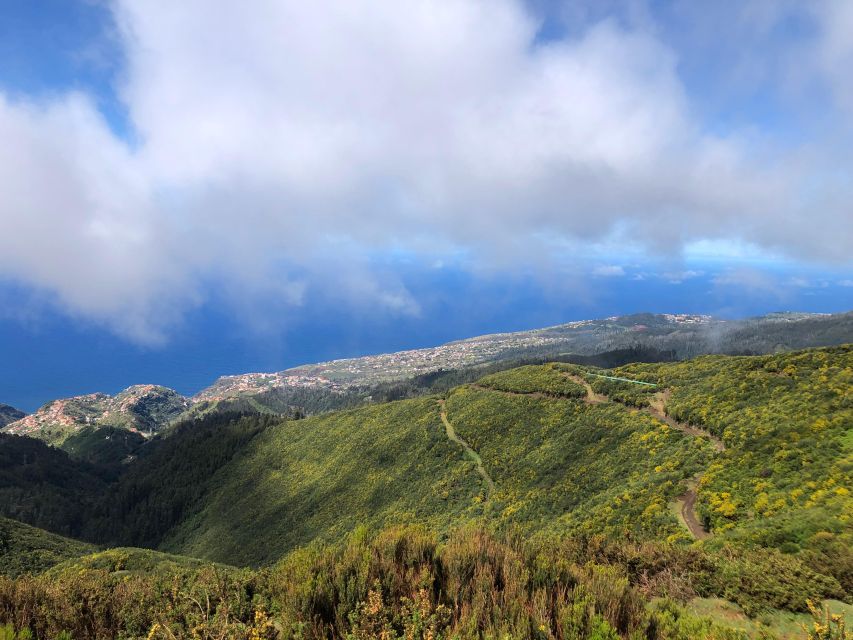 Madeira West Safari - The natural lava pools of Porto Moniz - Fanal Forest: where the walking stop feels like a reset