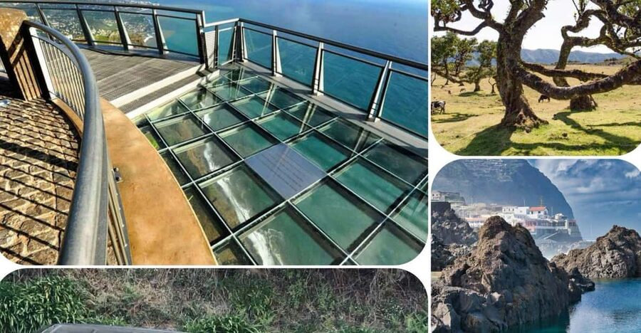 Madeira: West Tour With Guide Fanal Forest SykWalkExperience - Why West Madeira Works So Well in One 7-Hour Loop