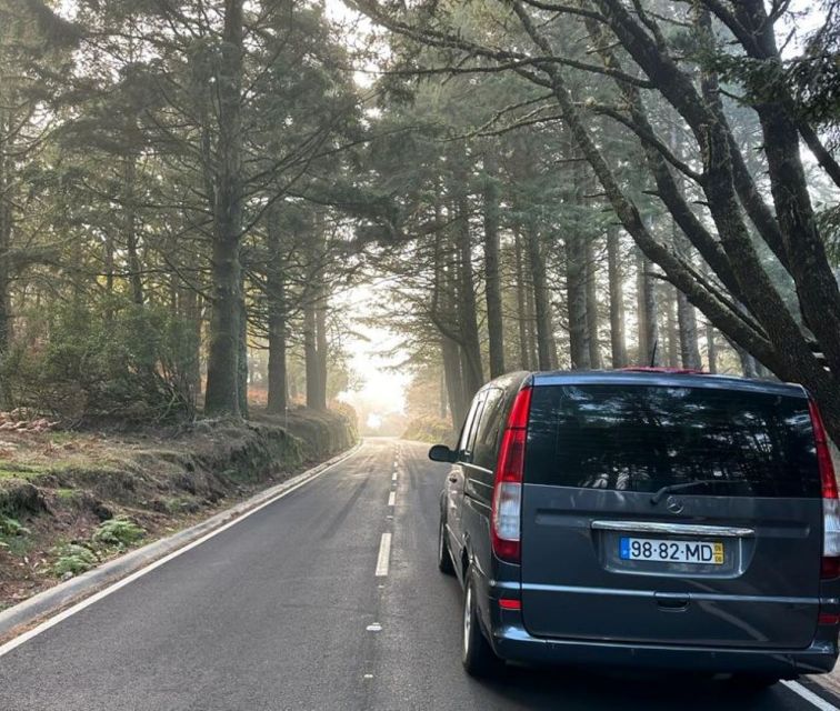 Madeira: Western Madeira Guided Trip & Fanal Mystic Forest - Who this tour is best for (and who might feel a mismatch)