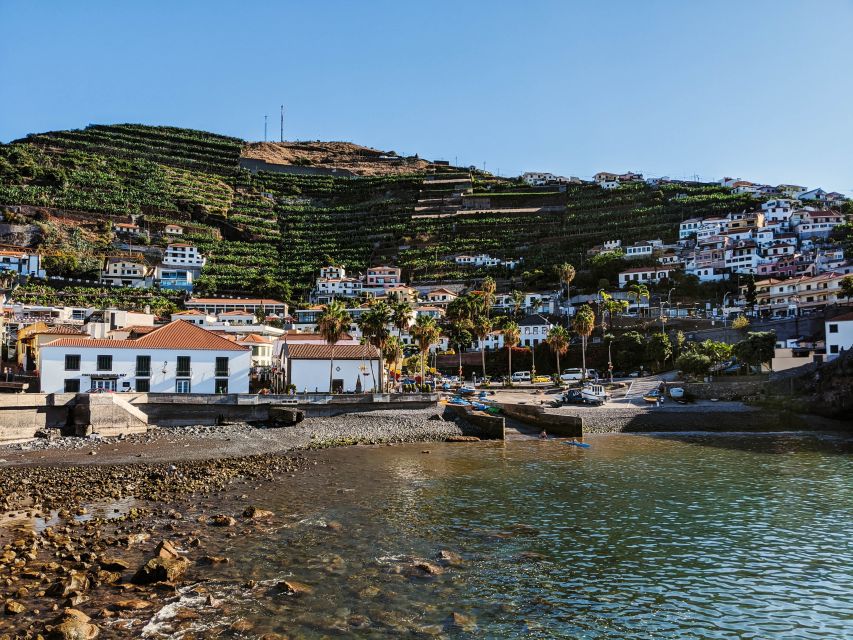 Madeira: Western Madeira Guided Trip & Fanal Mystic Forest - Price and value, what $35 really buys you