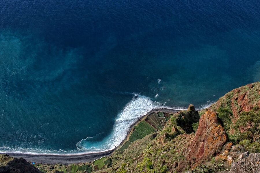 Madeira: Western Madeira Guided Trip & Fanal Mystic Forest - Timing, pickup rules, and how to avoid a stressful morning