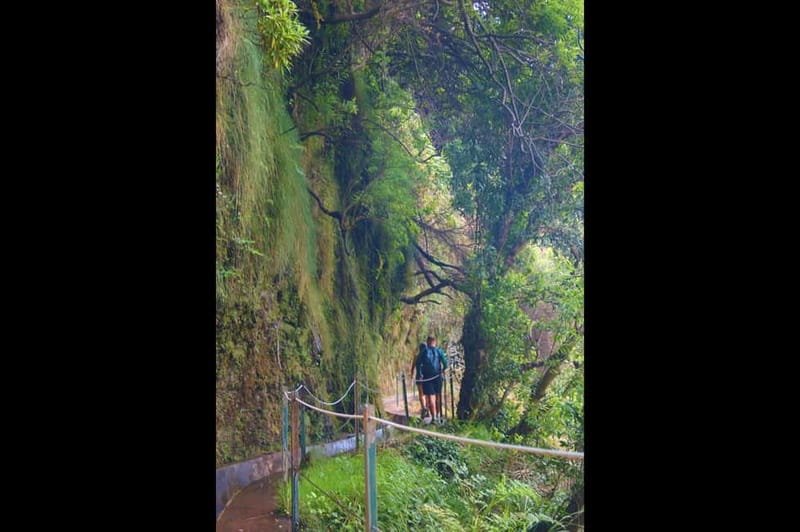 Madeira: Wet your hair in the amazing Levada Nova / Moinhos - Ponta do Sol after the hike: sea time, lunch choices, and viewpoints