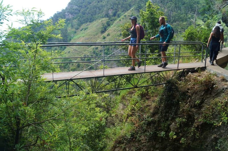 Madeira: Wet your hair in the amazing Levada Nova / Moinhos - Pickup in Caniço and along the route, plus a smart coffee stop