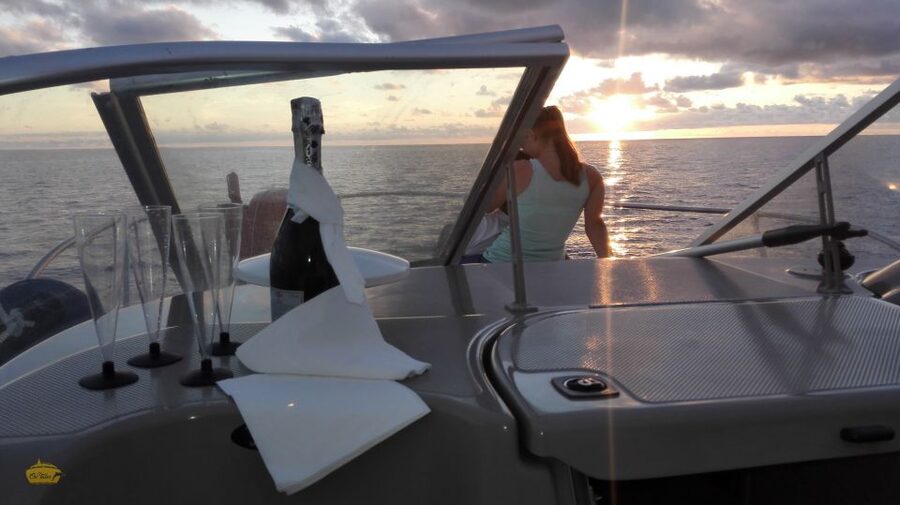 Madeira: Whale and Dolphin Watching Private Cruise - Key Highlights You Will Actually Care About