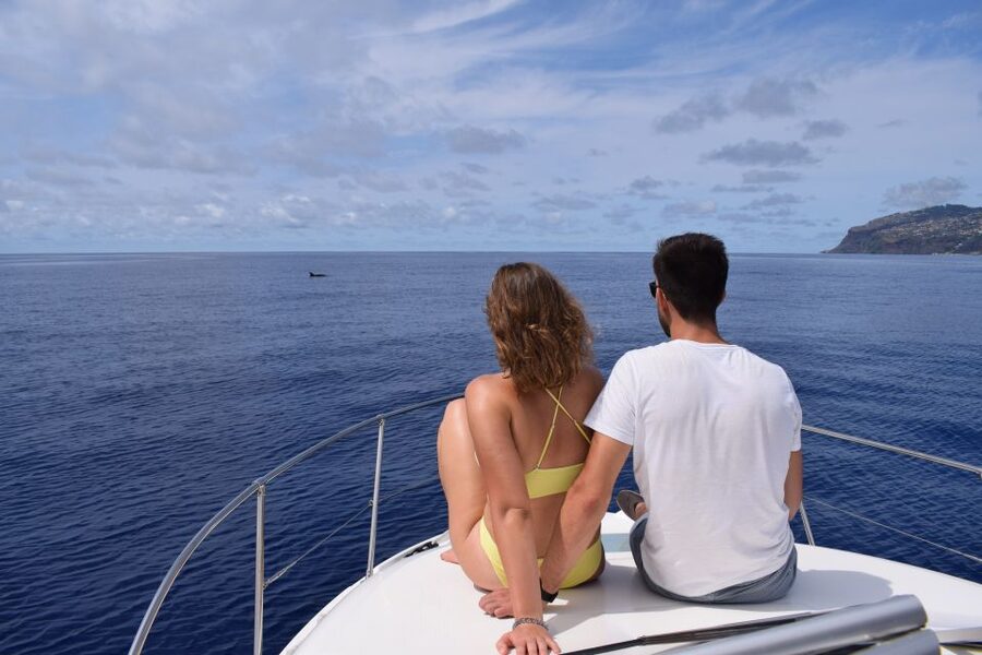 Madeira: Whale and Dolphin Watching Private Cruise - Should You Book This Madeira Yacht Whale and Dolphin Tour?