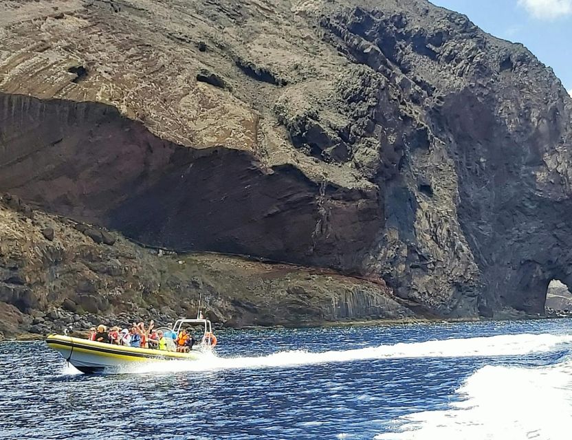 Madeira: Whale and Dolphin Watching Tour - What the 2-hour timing means for value and energy