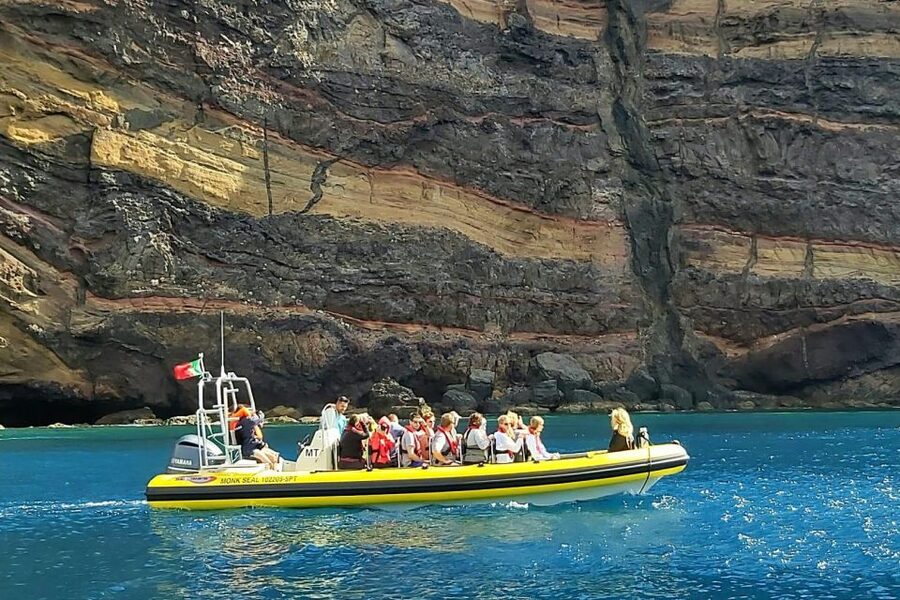 Madeira: Whale and Dolphin Watching Tour - Who this tour suits best, and who should skip it