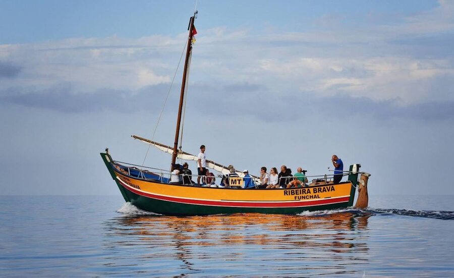 Madeira: Whale Watching Excursion in a Traditional Vessel - The guides and captain: the difference between spotting and truly understanding
