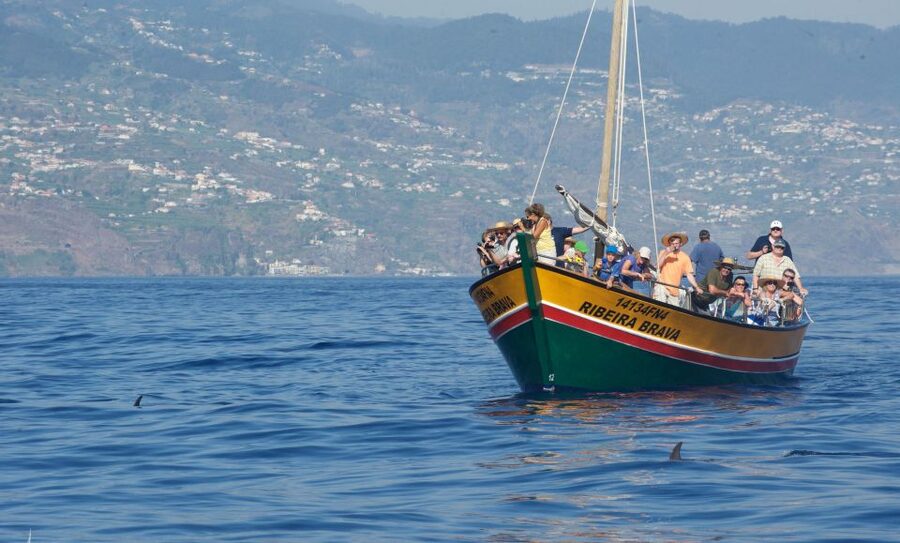 Madeira: Whale Watching Excursion in a Traditional Vessel - Madeira from the sea: the coastline is half the show
