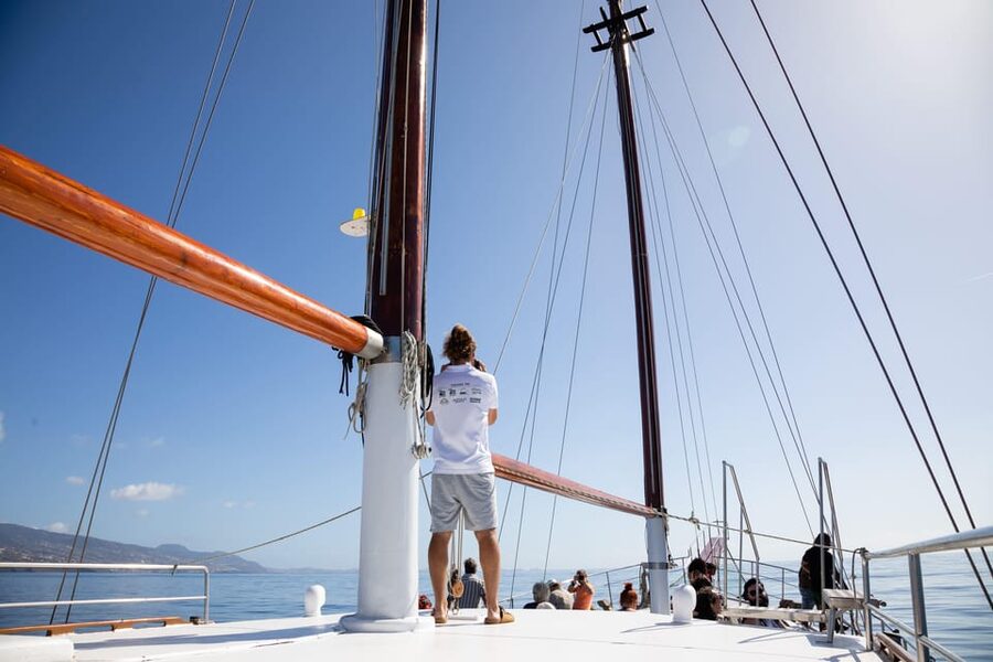 Madeira : Whales and Dolphins wooden boat excursion - Small risks to plan for: no sightings, no swim, and changing conditions