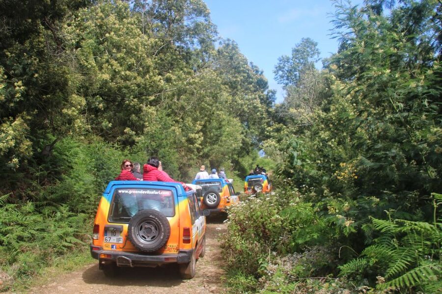 Madeira: Wine & Tapas, Cabo Girão Skywalk 4x4 Jeep Adventure - Should you book this Cabo Girão and wine plus 4x4 tour?