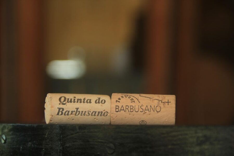 Madeira: Wine & Tapas, Cabo Girão Skywalk 4x4 Jeep Adventure - Practical tips to make the day easier