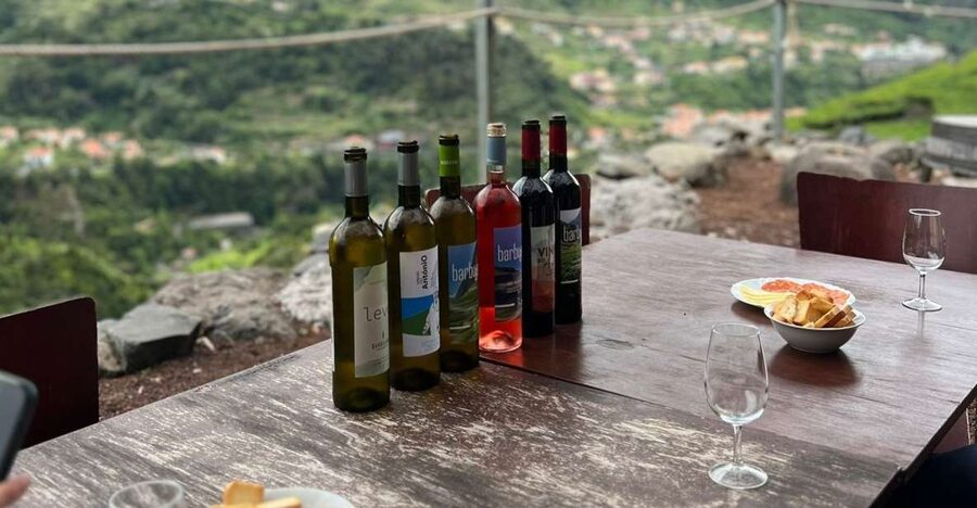Madeira: Wine Tasting Guided Tour, Jeep Safari, & Viewpoints - São Vicente vineyards: where the steep hills turn into an off-road story