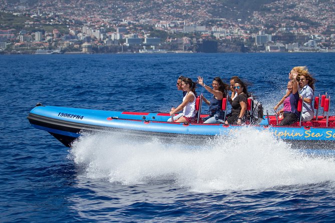 Magic Dolphin Sea Safaris - Key things to know before you go
