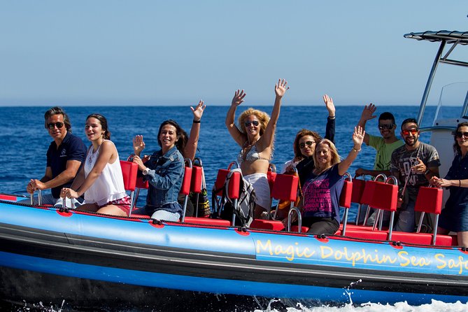 Magic Dolphin Sea Safaris - From Funchal to offshore: how the 2-hour safari actually feels