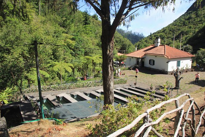 Magnificent East Tour - Ponta de São Lourenço: Wildlife and Vegetation Spotting With a Guide