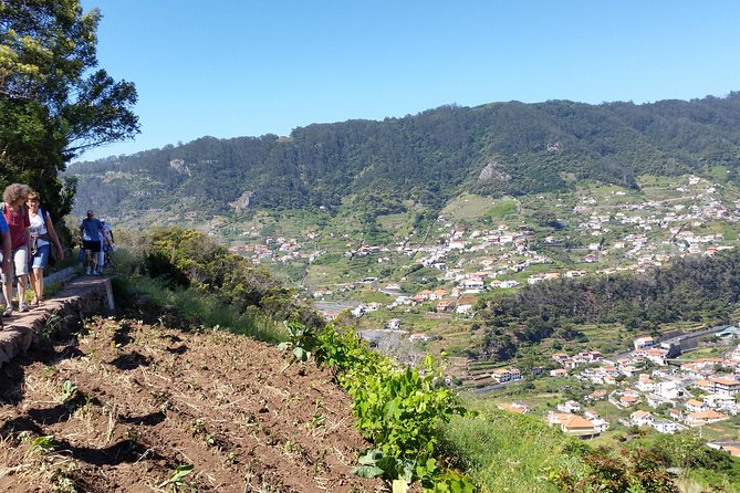 Maroços - Mimosa Valley - Key Things You Should Know Before You Go