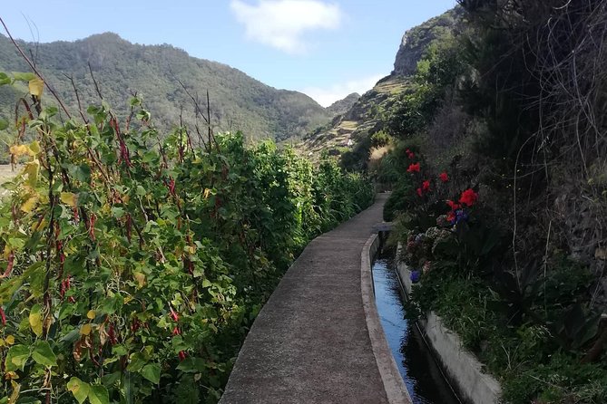 Maroços - Mimosa Valley - Machico Valley Views: What You’ll Enjoy Most Along the Way
