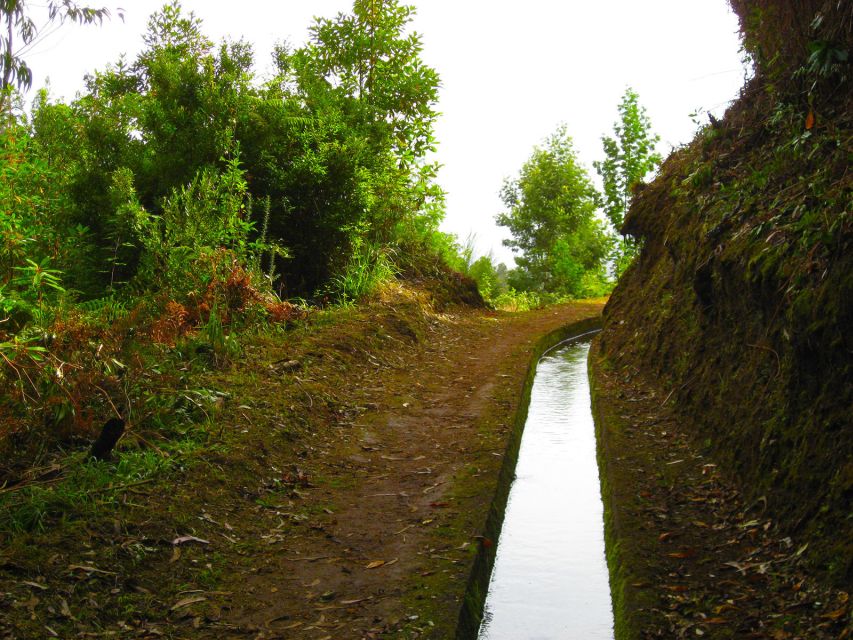 Maroços / Mimosa Valley - Levada Walk - Key Points At a Glance