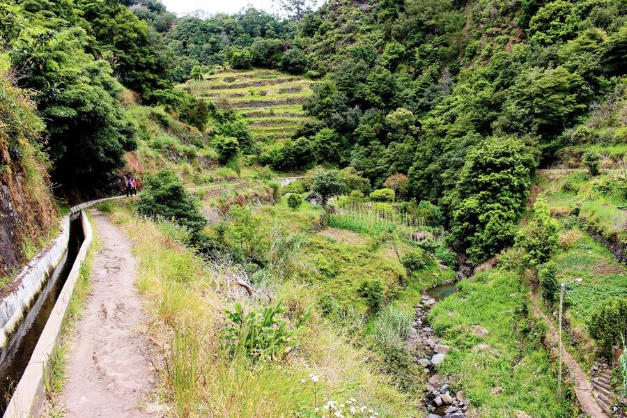 Maroços / Mimosa Valley - Levada Walk - Maroços to Mimosa Valley: Why This 4-Hour Levada Walk Works