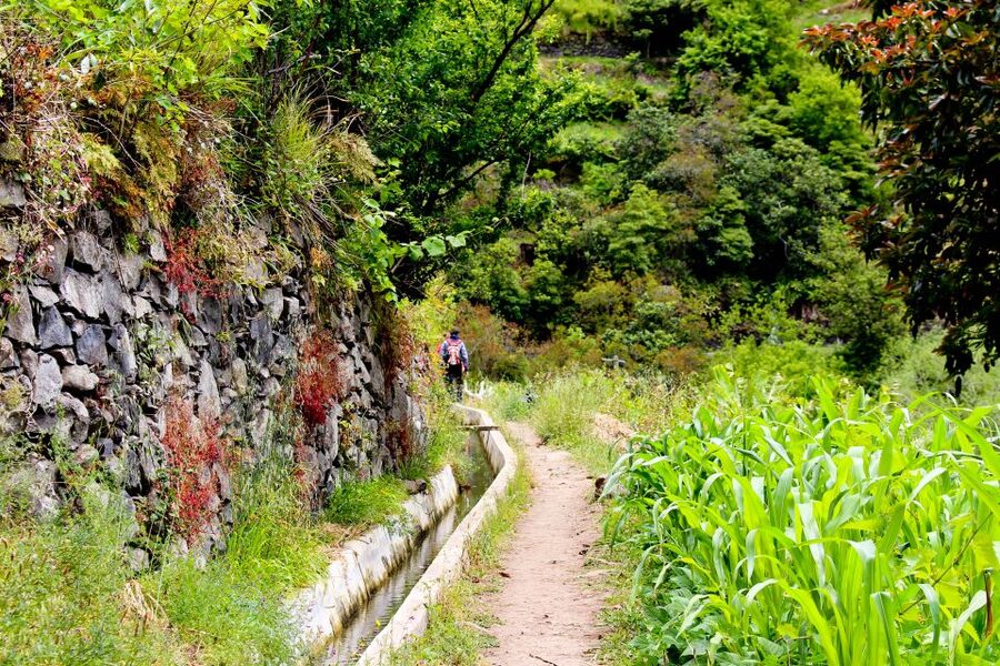 Maroços / Mimosa Valley - Levada Walk - A Practical Breakdown of Your 4 Hours on the Trail