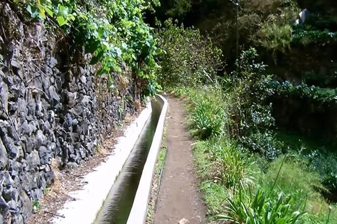 Mimosa Valley Walk - Mimosa Valley levada walk: what makes it so satisfying