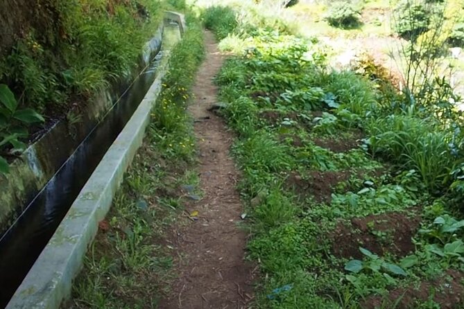 Mimosa Valley Walk - On the levada: how the walk is built around water
