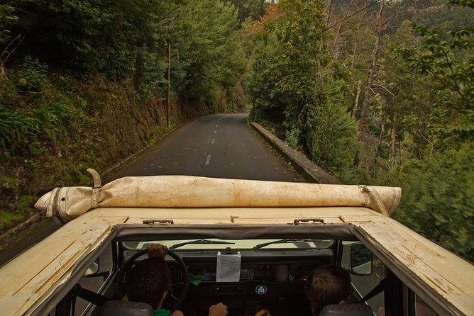 Mini -Combo East Challenge (Jeep & Levada Walk)- Shared Tour - Why the east Madeira mix of Jeep driving and a levada walk feels efficient