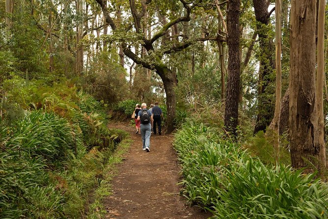 Mini -Combo East Challenge (Jeep & Levada Walk)- Shared Tour - Camacha levada walk: the calm part of the day in about 30 minutes