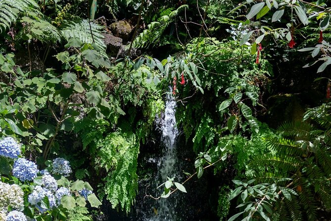 Monte Palace Tropical Garden tour with Cable Car - Cable car first, tropical garden after: the Monte Palace flow