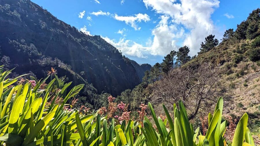 Mountain Wonders: Nuns Valley Half-day Private Jeep - The ride itself: private Suzuki Vitara, seating up to three