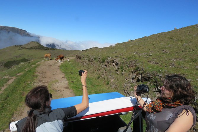 Northeast 4x4 Santana and Landscapes Day Trip - Stop-by-stop: Ponta Delgada to Boaventura and beyond