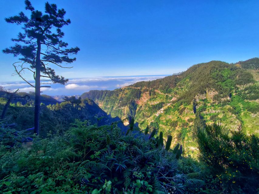 Nun's Valley - Why Nun’s Valley feels so different from other Madeira viewpoints