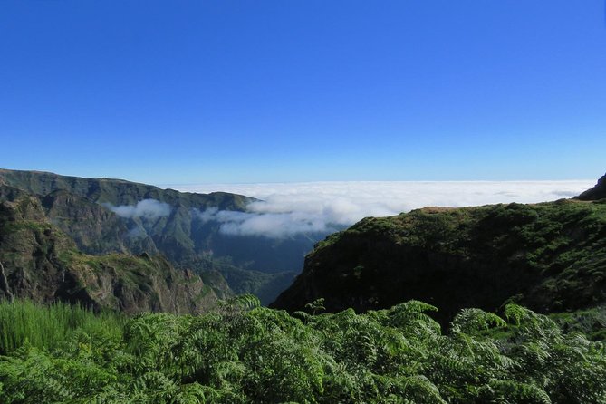 Nun's Valley Open 4X4 Tour - Miradouros Do Paredao and the meaning of reforestation on Madeira