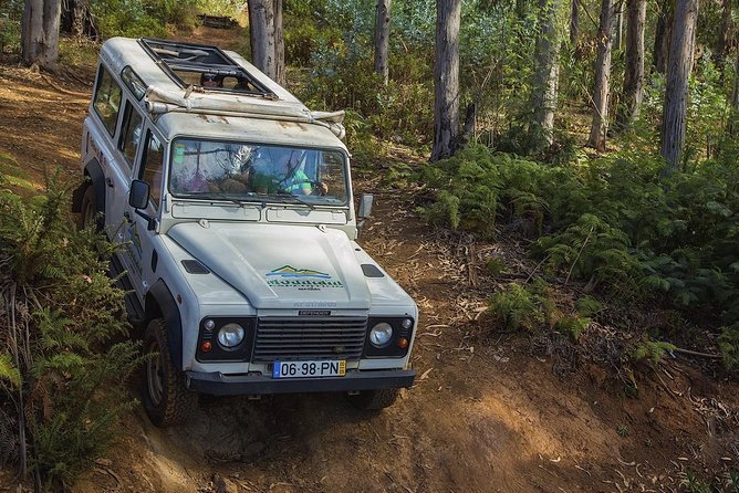 Nun's Valley & Sea Cliff - Half Day - Shared Tour - Why this half-day Jeep loop works so well from Funchal
