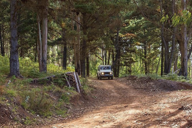 Nun's Valley & Sea Cliff - Half Day - Shared Tour - The Jeep ride itself: steep hills, off-road feel, and what to wear