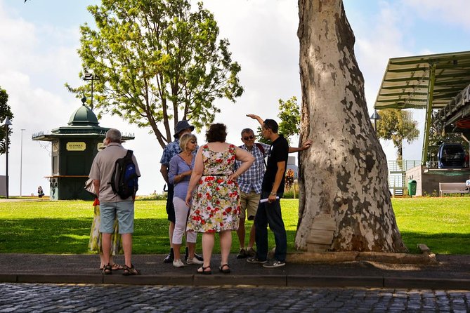 Old Funchal Walking Tour - Old Funchal in Two Hours: Why This Walk Is Such Good Value