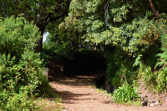Paradise Valley Beauty Walk - Timing and Pacing: About 3 Hours Walking, Plus Real Travel Time